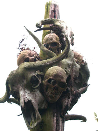 Skulls on a poleの写真素材
