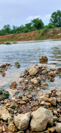 Background of colorful beach pebbles of different shapes and water. Colorful Stones On A Mountain River Bank, Small River Stonesの写真素材
