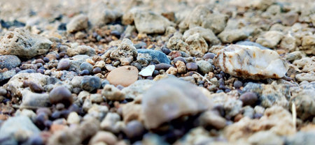 Multicolored stones underwater, background, texture. Dry round and soft river rocks. stones pebbles gravel natural.  river stonesの写真素材