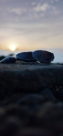 River rocks background, blue rive rock. Weathered, rounded lava pebbles, Multicolored stones...