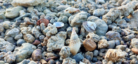 Multicolored stones underwater, background, texture. Dry round and soft river rocks. stones pebbles...