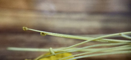 Macro shot of a bunch of yellow flowers on a wooden background