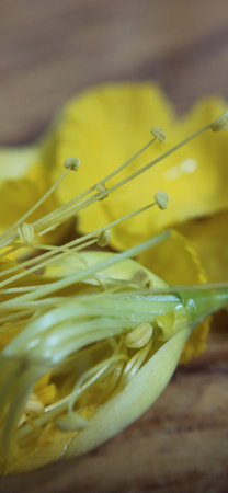 Close up yellow flower on wooden background with selective focus and vintage tone