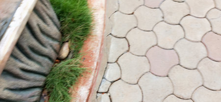 Stone walkway in the garden with green grass. Abstract background.