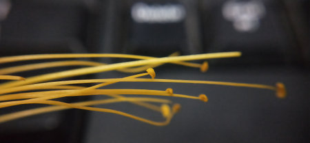 Macro shot of spaghetti on a computer keyboard, shallow depth of field