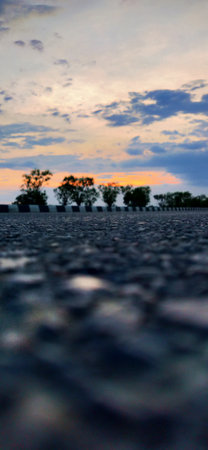 Asphalt road with trees at sunset.の写真素材