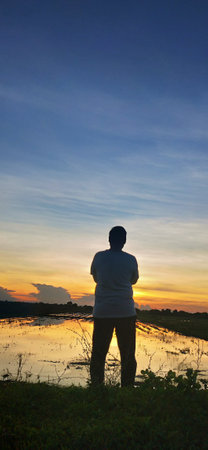 Silhouette of a man standing on the edge of a rice field during sunsetの写真素材