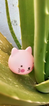 Cute pink cat figurine on aloe vera plant.の写真素材