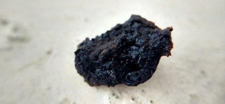 Black charcoal on a white background. Close-up of coal.の写真素材
