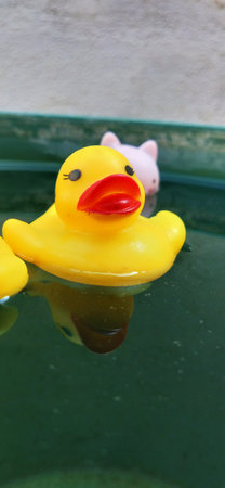 Yellow rubber duck floating in a basin with a piggy bank in the backgroundの写真素材