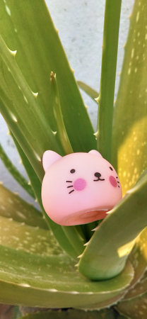 Aloe vera plant with pink piggy bank in it.の写真素材