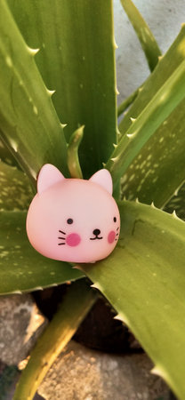 Cute pink cat on aloe vera plant close-upの写真素材