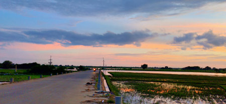 Sunset in the rice fields of the province of Chiang Raiの写真素材