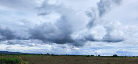 Clouds over the corn field in the countryside of Alentejo, Portugalの写真素材