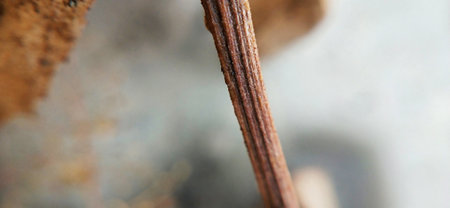 Close up of a rusty metal. Macro photo with shallow depth of field.の写真素材