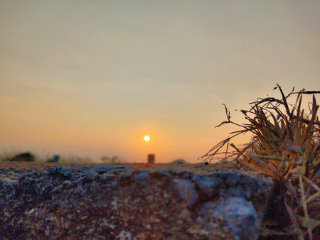Sunset in the desert with grass and stones in the foreground.の写真素材