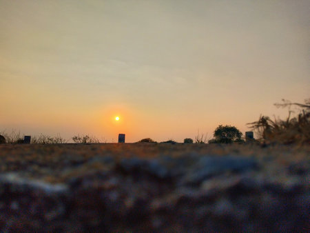 beautiful sunset in the countryside, note shallow depth of field.の写真素材