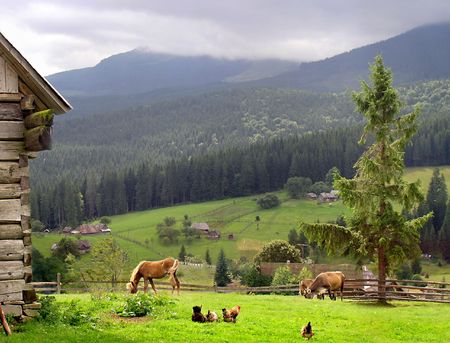 The idil  individual farm in mountain settlementの写真素材