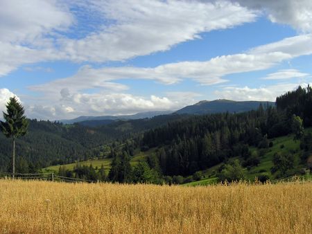 Mountainous landscape with field of barley on a frontの写真素材