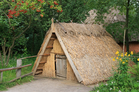 old thatch shed on country homestead (with viburnum bush and yellow flowers near)の写真素材
