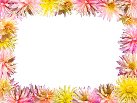 Pink-yellow Dahlia flowers frame (isolated on white)の写真素材