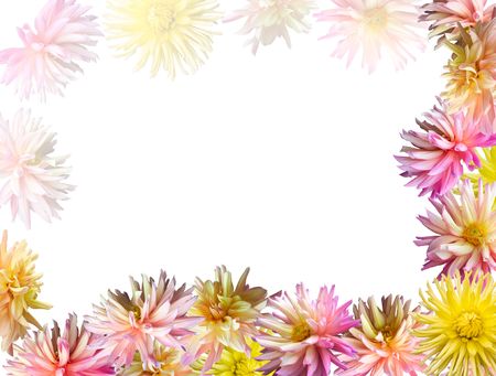 Pink-yellow Dahlia flowers set corner frame (isolated on white)の写真素材