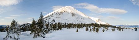 Winter morning panorama mountain landscape (Petros Mountain, Ukraine, Carpathian Mt's)