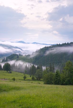 dense fog over summer mountainsの写真素材