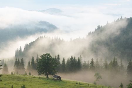 dense fog over summer mountainsの写真素材