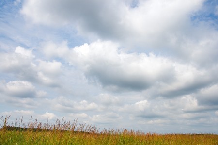 Summer meadow and overcast skyの写真素材