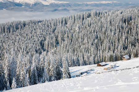 winter calm mountain landscape with some snow covered stems on forefront  and sheds group behind ...