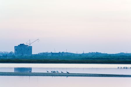 unfinished desertion  energetic block of atomic power plant and  gull flock (near Scholkino Town, Crimea, Ukraine).の写真素材