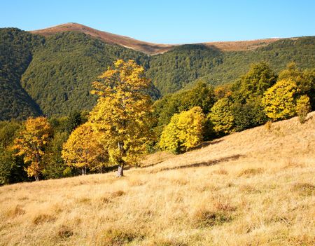 Carpathian Mountains (Ukraine) landscape. Two shots composite picture.の写真素材