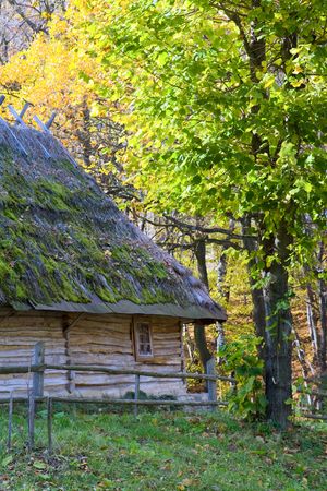 Ukrainian historical country wooden hut with thatched moss overgrown roofの写真素材