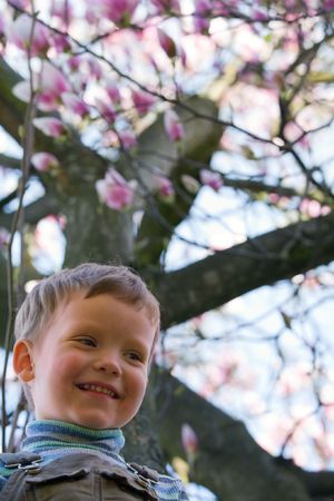 Happy small boy portrait near blossoming magnolia treeの写真素材
