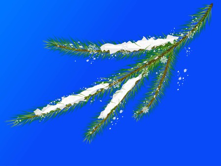 Winter fir twig on blue background (vector illustration)のイラスト素材