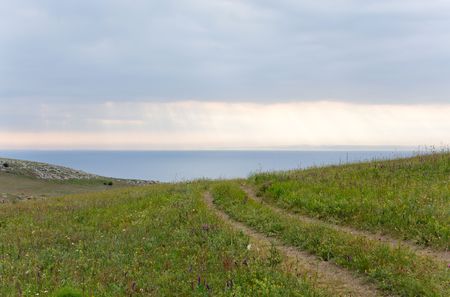 Prairies on evening summer sea coast and earthroad.の写真素材
