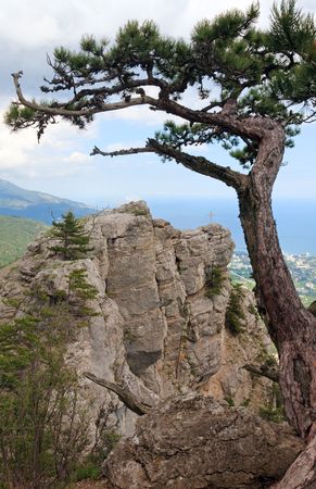 view of Yalta city from slope of Aj-Petri Mount (trail Botanical, Crimea, Ukraine)の写真素材