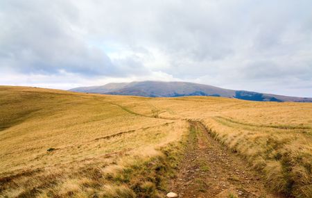 Carpathian Mountains (Ukraine) autumn landscape with country road.の写真素材