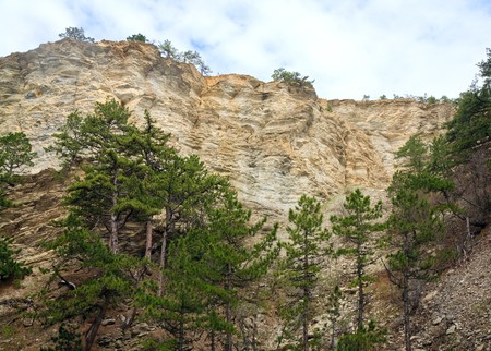 Cloudy Aj-Petri Mountain view and pine trees on slope Crimea, Ukraine)