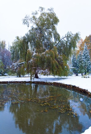 First autumn sudden snow in city parkの写真素材