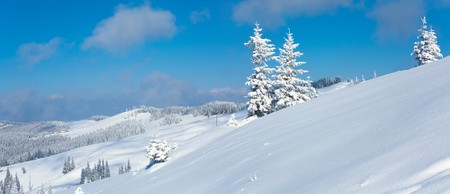 Winter calm mountain panorama landscape with snow covered firs and on ridge (Kukol Mount, Carpathian Mountains, Ukraine). Two shots stitch image.の写真素材
