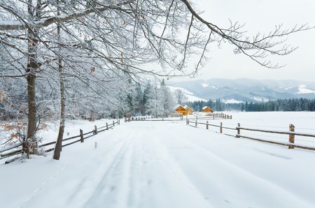 winter dull country mountain landscape with  fence and firs forestの写真素材
