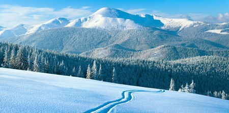 Morning winter calm mountain landscape with coniferous forest on slope (Carpathian Mountains, Ukraine). Four shots stitch image.の写真素材