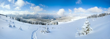 Winter calm mountain landscape with fir forest and sheds group on slope (Carpathian Mountains, Ukraine).  Three shots stitch image.の写真素材