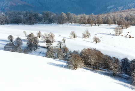 October mountain beech forest edge with first winter snow and last autumn colourful foliage on far mountainsideの写真素材