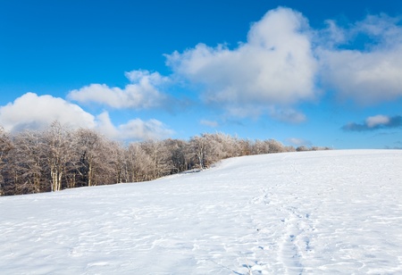 October mountain beech forest edge and first winter snowの写真素材