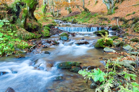 Rocky Stream, Running Through Autumn Mountain Forestの写真素材