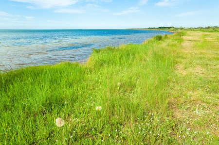 Summer coastline (Skadovsk town environs, Crimea, Ukraine ).の写真素材