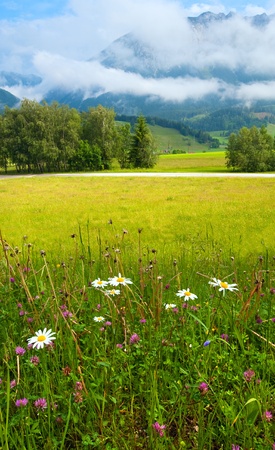 Alps mountain meadow tranquil summer viewの写真素材